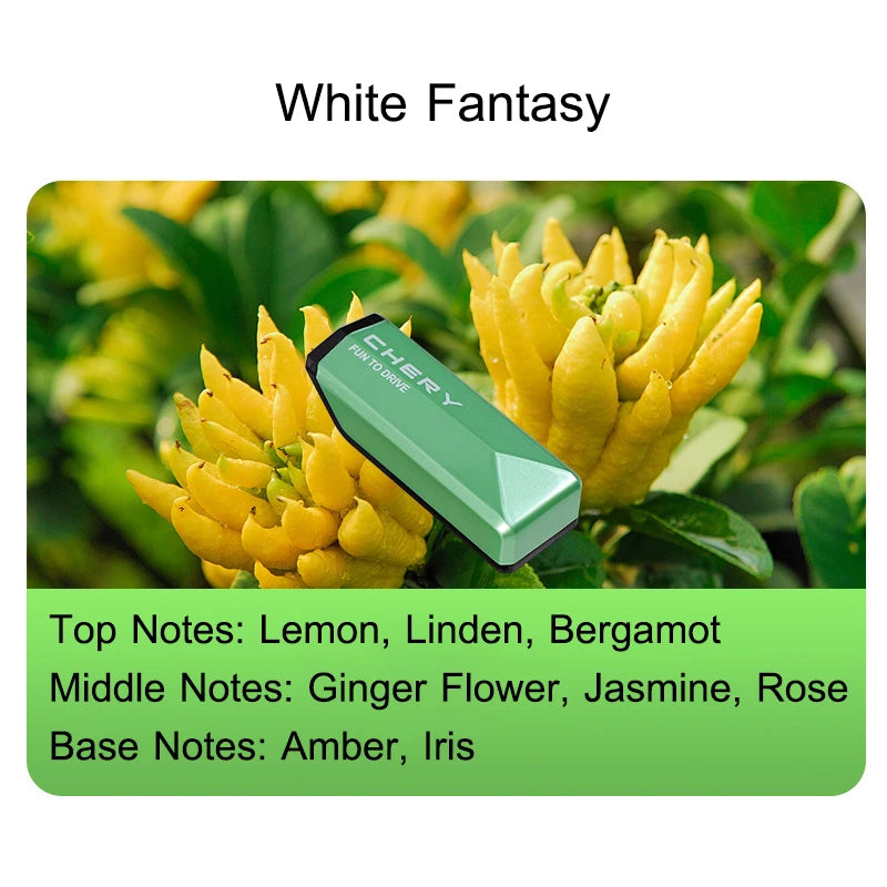 Jaecoo J8 & EXEED — Original Ambient Fragrance & Air Freshener Kit